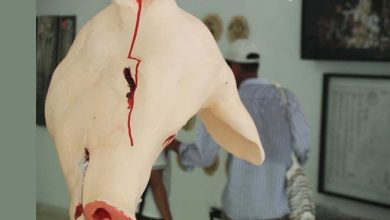 MUZAC - MONTERIA - MUSEO ZENU