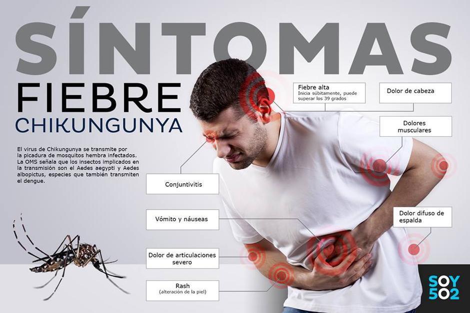 Lo que debe saber sobre chikungunya Noticias de la ciudad de Montería
