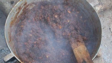 la+receta+del+mongo+mongo