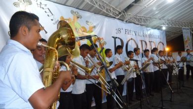 festival nacional del porro en san pelayo