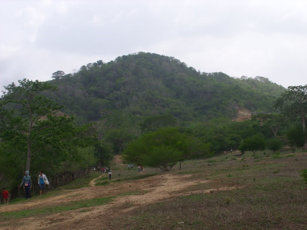 Cerro de Tofeme