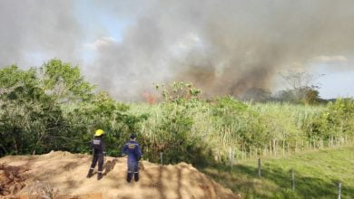 Córdoba está en alerta alta por amenaza de incendios forestales