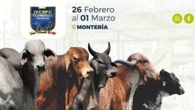 Programación del Foro internacional de ganadería sostenible y productiva