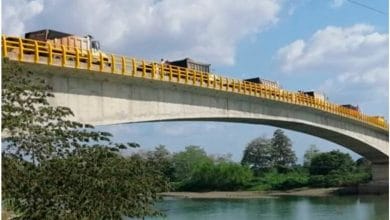 Puente de Valencia será inaugurado el próximo viernes 13 de marzo