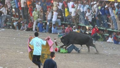 Se suspenden Festivales y Fiestas en Córdoba