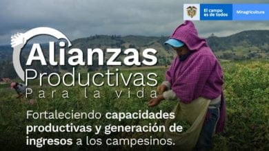 Convocatoria para productores agrícolas