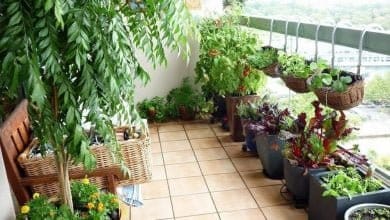 Cómo hacer una huerta en casa