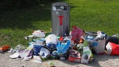 ¿Cómo reducir residuos en cuarentena?