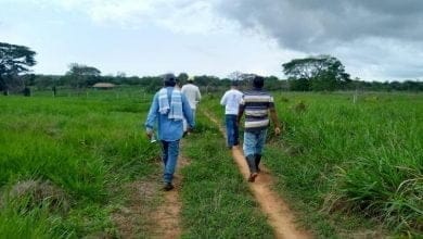 Esta es la tarifa del impuesto para predios rurales en Montería