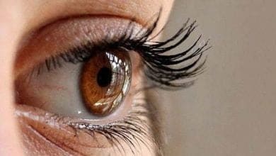 Los ojos, posible vía de contagio de Covid19