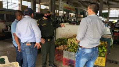 Cadena de abastecimiento se mantiene en Toque de queda