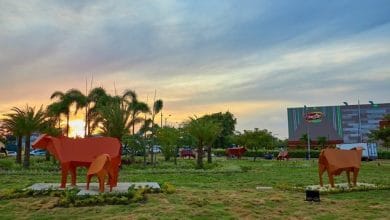 Estos son los proyectos por los que podrá votar la Comuna 6