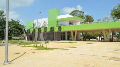 Habilitan líneas para atención al público del 8 al 13 de julio