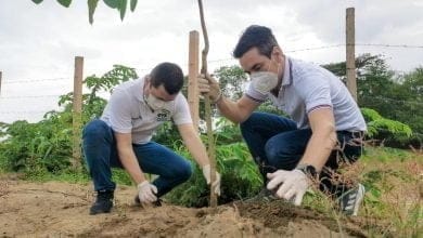 Montería ganó el reconocimiento del One Planet City Challenge