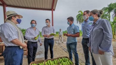 Anuncian inversiones para crecimiento del campo monteriano