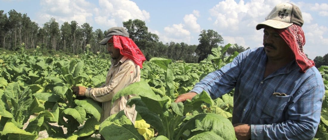 Córdoba presente en las jornadas de negocio virtual de MinAgricultura