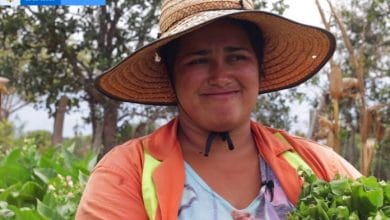 Convocatoria programa ‘Agricultura por contrato’