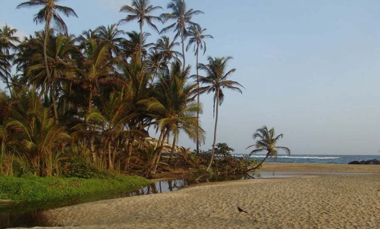 Las playas del parque Tayrona abrirán a turistas