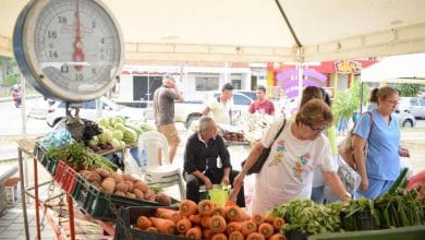 Participa del primer Mercado Campesino