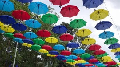 Medidas en Montería durante diciembre