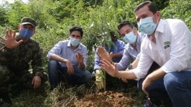 Montería ingresó al Programa de Biodiverciudades de MinAmbiente