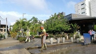 Sectores de Montería que no tendrán servicio de aseo el 1 de enero