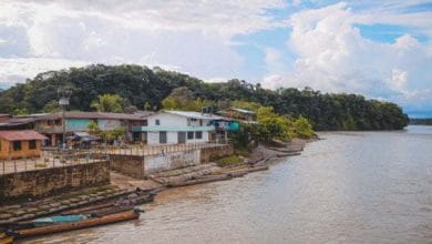 Minsalud confirmó presencia en Colombia de cepa brasileña de Covid19