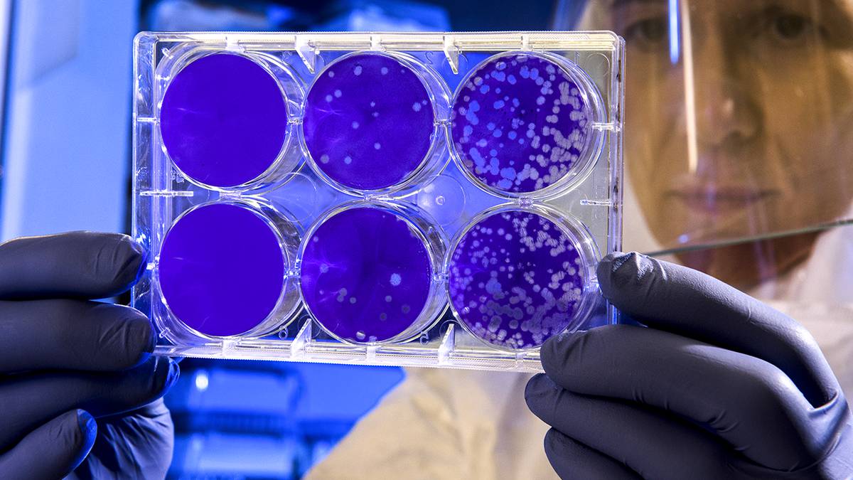 Países donde se ha detectado la nueva cepa de coronavirus