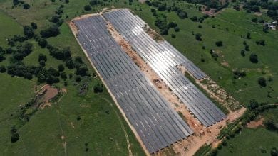 En Chinú se construirá la segunda granja solar de Córdoba