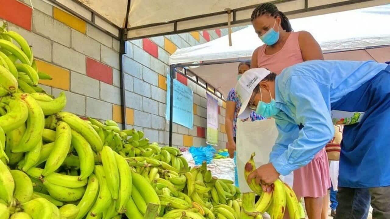 Este sábado habrá nuevo Mercado Campesino en Montería