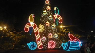 Ya está todo preparado para que este viernes, 3 de diciembre, se encienda la Navidad en Montería. La acostumbrada caravana que lidera el alcalde y demás autoridades municipales, partirá desde la glorieta de Mocarí. 