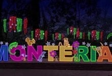 "Naturalmente unidos" es el nombre que este 2021 tendrá el alumbrado navideño en Montería. Se trata de una campaña de exaltación de la fauna y la flora, dos aspectos que hacen de esta una 'biodiverciudad' y que le dan el toque característico ante los ojos de resto de Colombia y del mundo. 