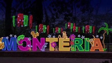 "Naturalmente unidos" es el nombre que este 2021 tendrá el alumbrado navideño en Montería. Se trata de una campaña de exaltación de la fauna y la flora, dos aspectos que hacen de esta una 'biodiverciudad' y que le dan el toque característico ante los ojos de resto de Colombia y del mundo. 