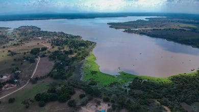ciénaga de betancí semana santa