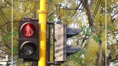 cámaras de fotomultas