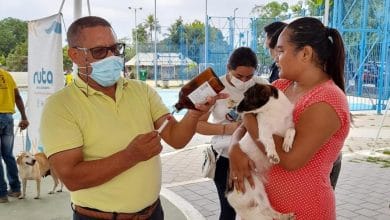 Semana de salud y bienestar animal en Montería va hasta el 3 de abril