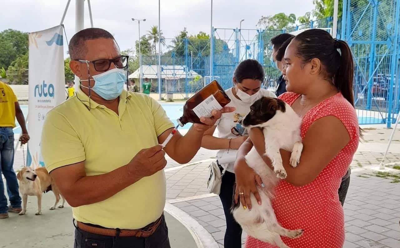 Semana del Amor y Bienestar Animal en Montería va hasta el 3 de abril