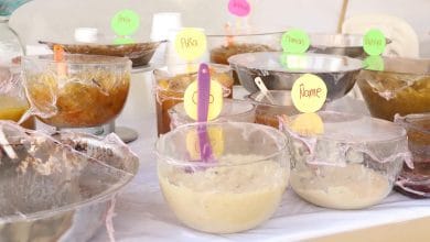 festival montería me sabe a tradición