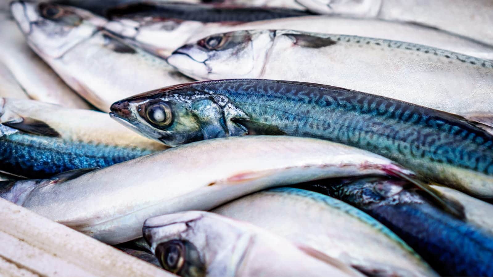 Atento: así puede saber si un pescado está fresco y en buen estado