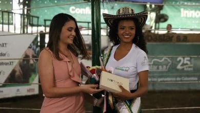 reina subastar banda