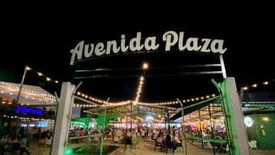 avenida plaza montería