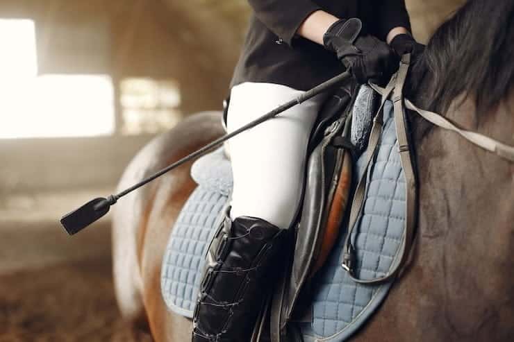 La Feria del Caballo 2022 llega a Montería en octubre