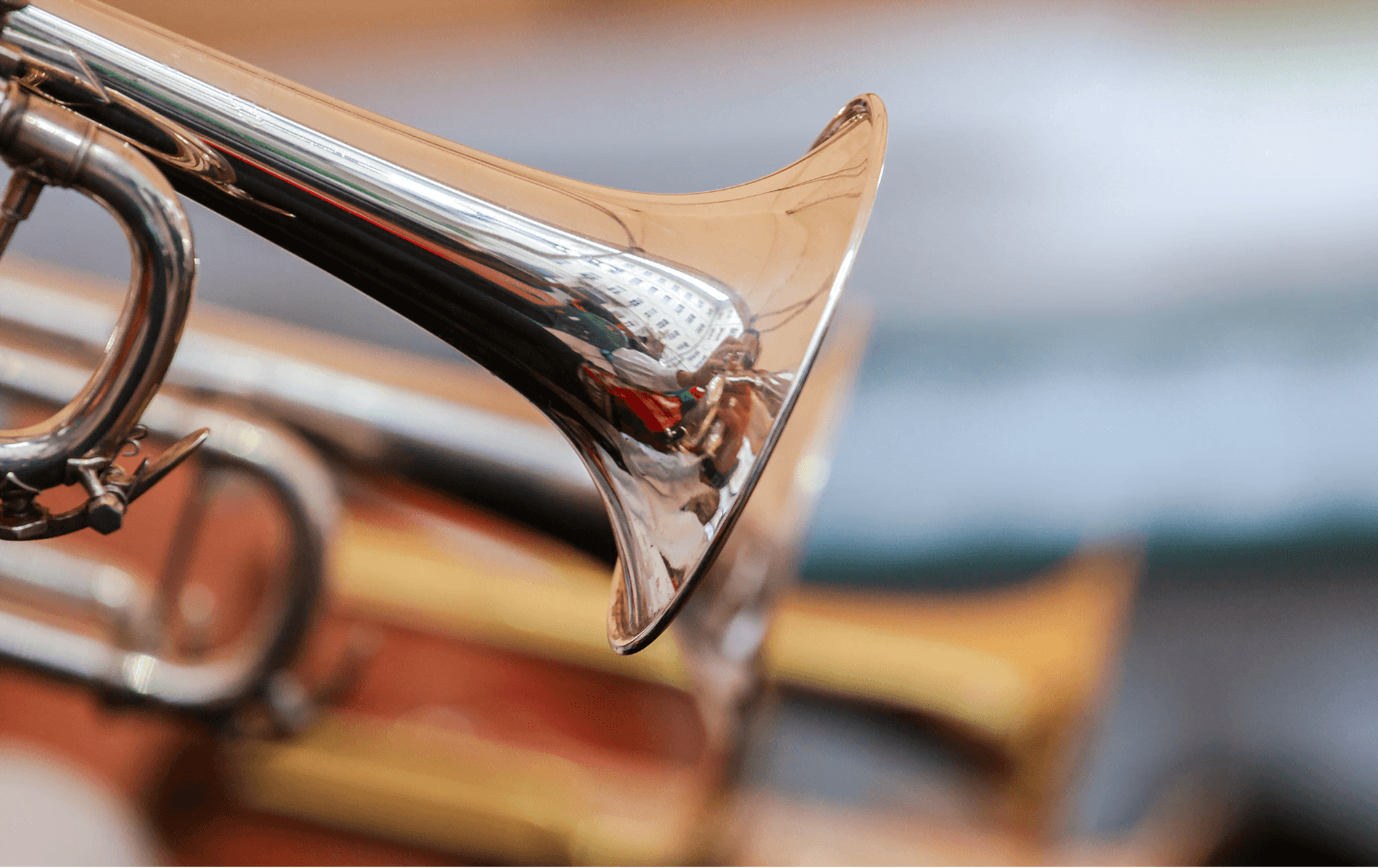 festival pera del sinú el porro vive