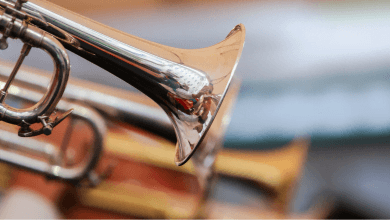 festival pera del sinú el porro vive