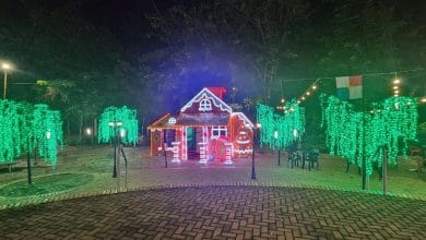 alumbrado navideño montería