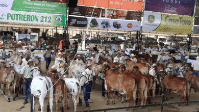 Emprendedores podrán participar gratis en Expoterneros Montería 2024