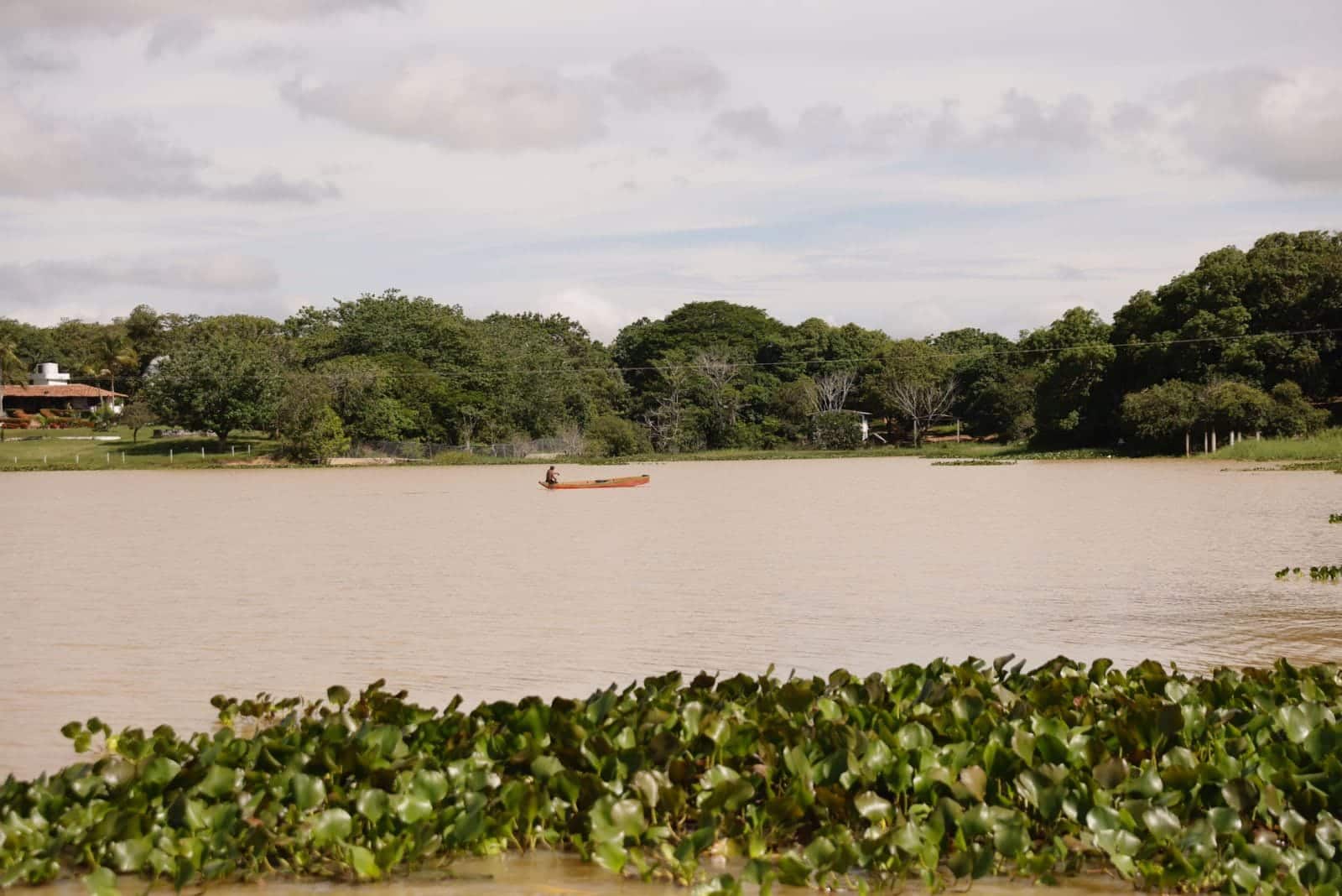 El gobernador de Córdoba, Erasmo Zuleta, destacará la riqueza y biodiversidad del departamento en la COP16 en Cali