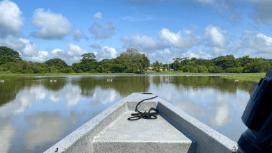 Plan turístico en Montería: Descubre la Ciénaga de Betancí
