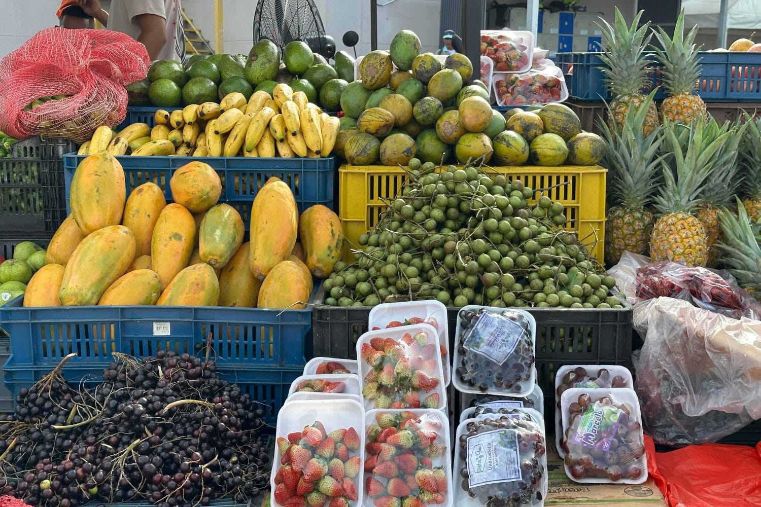 mercado campesino en Montería