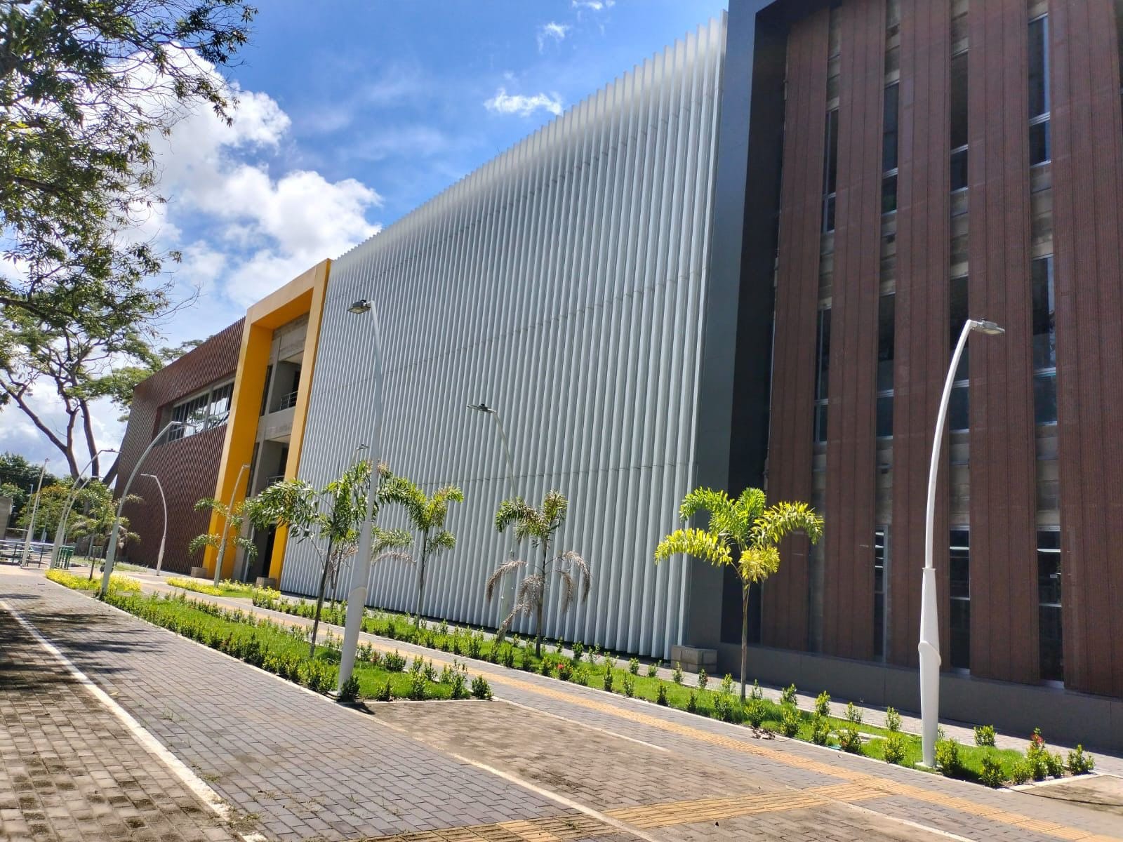 Este sábado gran inauguración de la Universidad del Sur: esta es la oferta académica